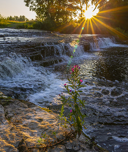 Healing & Wellness Experiences