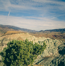 Allowance ceremony landscape